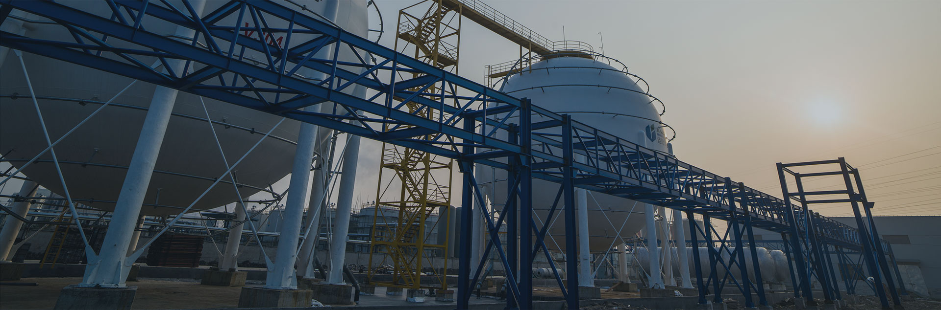 老虎游戏机app下载